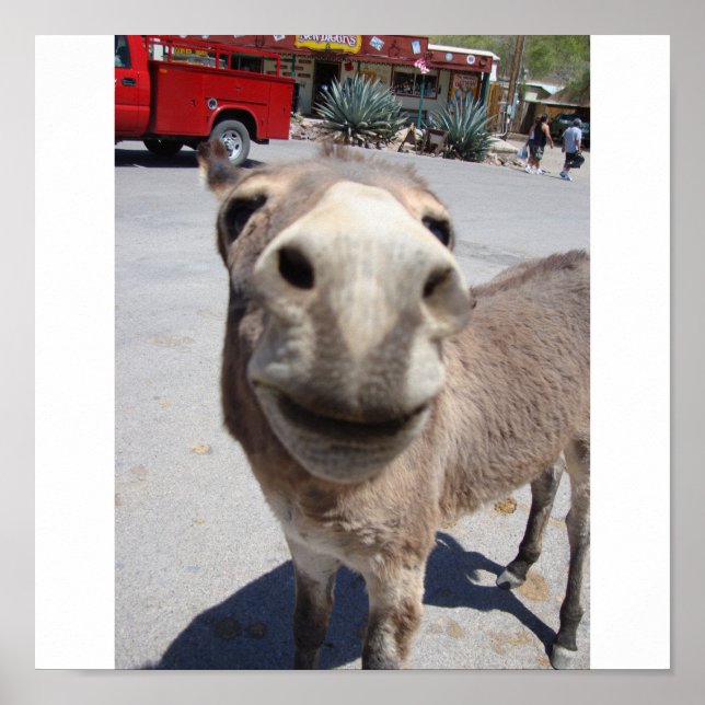 Pôster Jackass 002 (Frente)