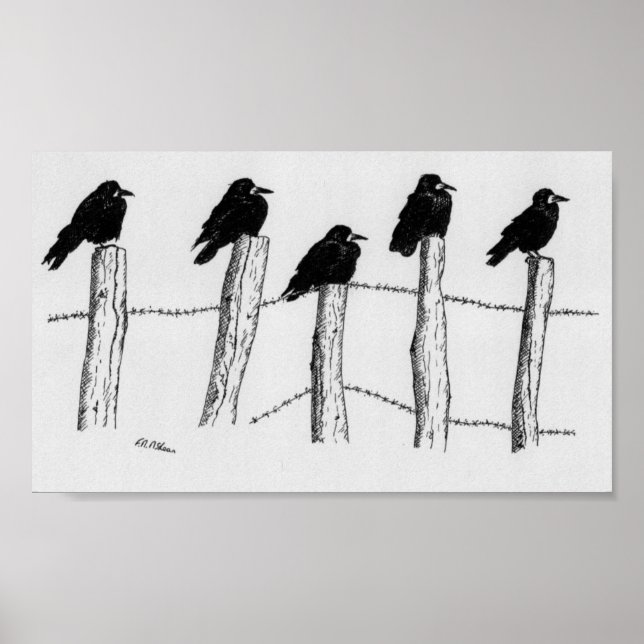 Poster Jackdaws (Frente)