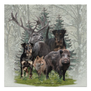 Pôster Jagdterrier, Caça alemã Terrier