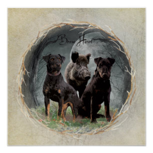 Pôster Jagdterrier, corajosa tapeçaria cardíaca