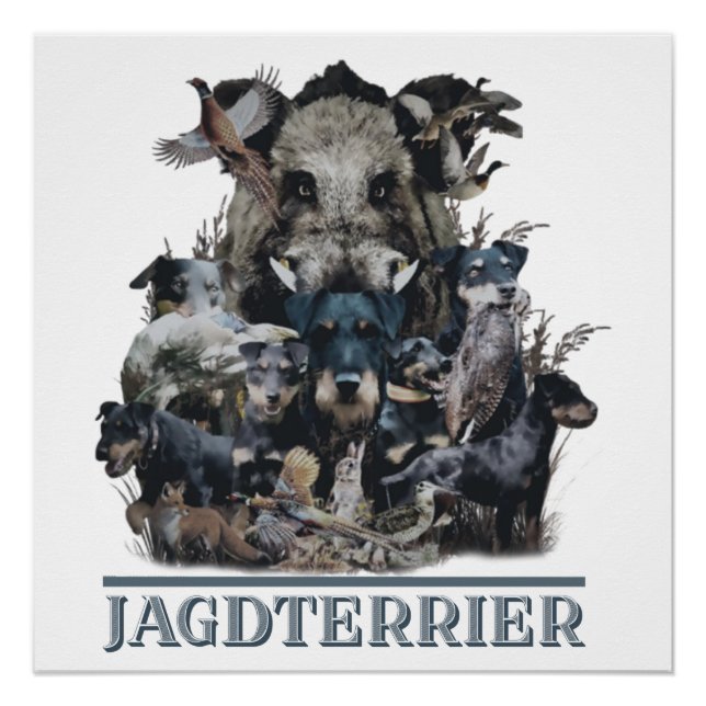Pôster Jagdterrier, Poster de Terrier Caçador Alemão (Frente)