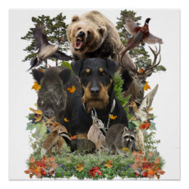 Pôster Jagdterrier, Poster de Terrier Caçador Alemão