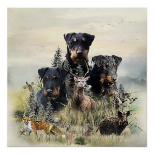 Pôster Jagdterriers v. Renbrad Kennel