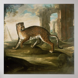 Pôster Jaguar