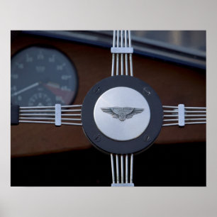 Pôster jaguar antigo 3