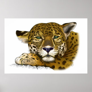 Pôster Jaguar colored