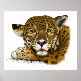 Pôster Jaguar colored