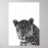 Jaguar Jungle Modern Retrato preto