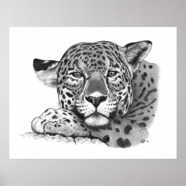 Pôster Jaguar no Lápis (Frente)