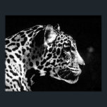 Poster Jaguar Pop Art<br><div class="desc">Posters de Retrato Jaguar Preto e Branco - Imagem Jaguar de Arte Pop - Grandes Impressões de Gatos Selvagens - O Chefe do Jaguar - Face de Jaguar</div>