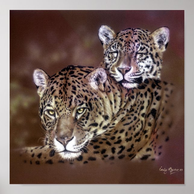 Pôster Jaguars (Frente)