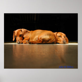 Pôster Jake & Dillon