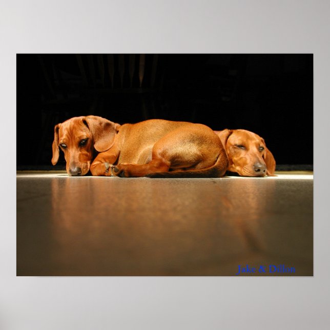 Pôster Jake & Dillon (Frente)