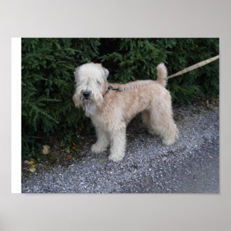 Poster Jake no Biltmore