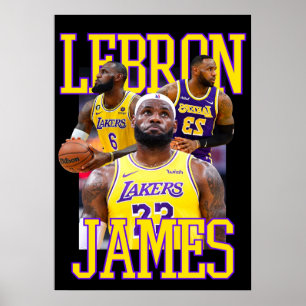 Poster james lebron, nba, basquete, james king, slam du