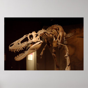 Poster Jane - vista #6