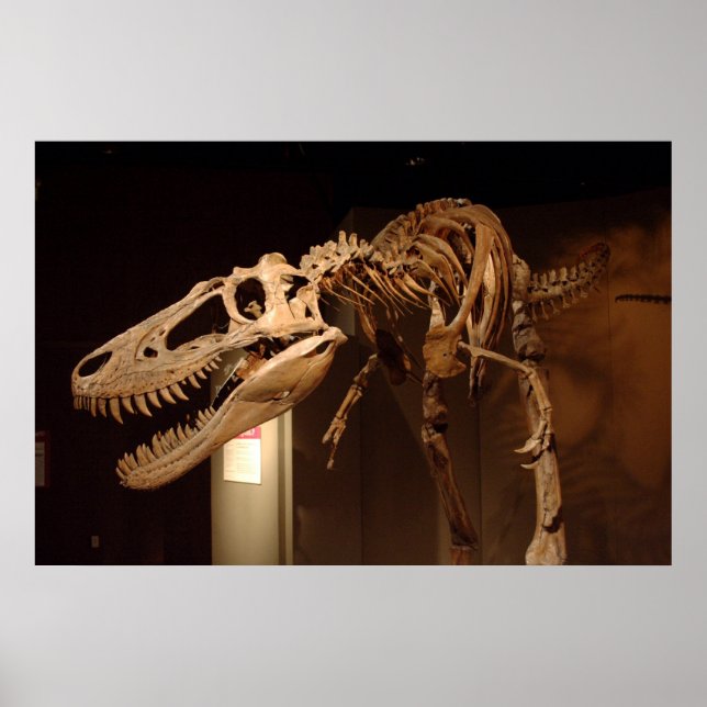 Poster Jane - Vista nº 6 (Frente)