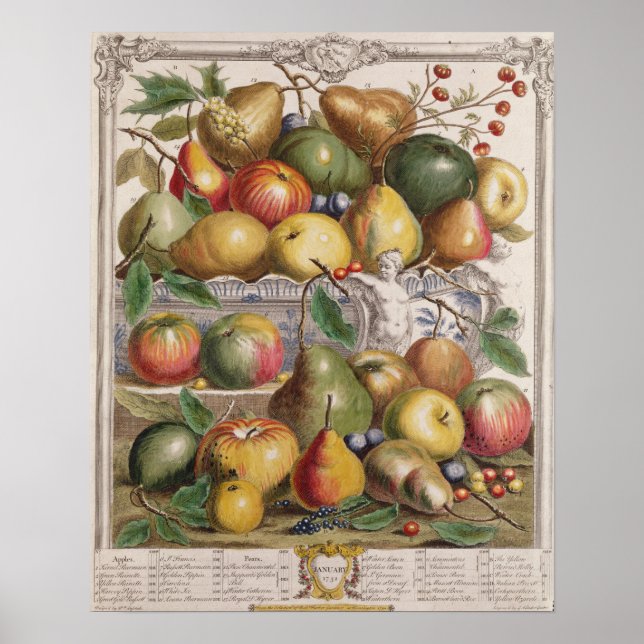 Poster Janeiro, doze meses de Fruta (Frente)