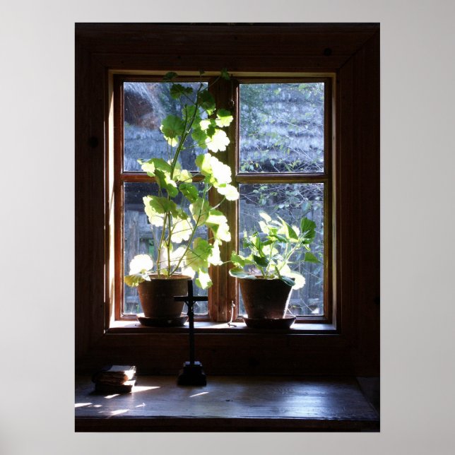 Poster Janela (Frente)