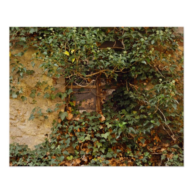 Pôster Janela assombrada    (Frente)