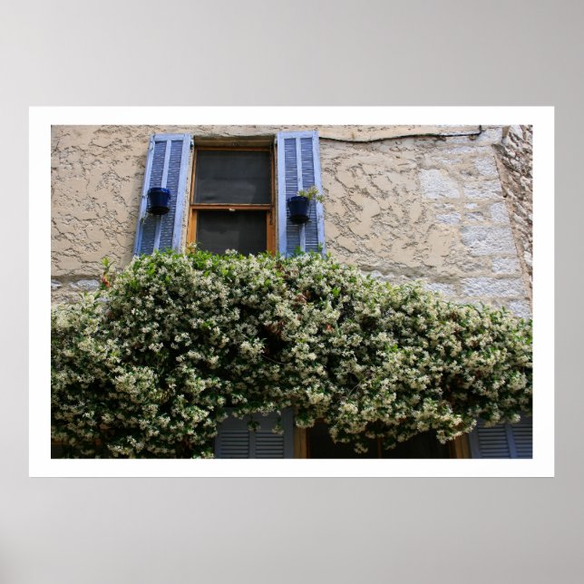 Pôster Janela Azul (Frente)