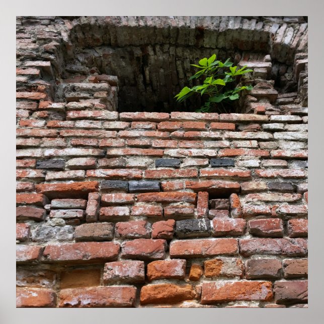 Poster janela da fortaleza (Frente)