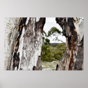 Poster Janela da Natureza