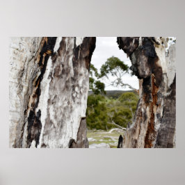 Poster Janela da Natureza