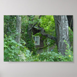 Pôster Janela da Natureza