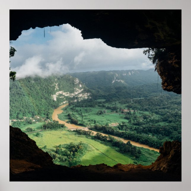 Poster Janela da selva (Frente)