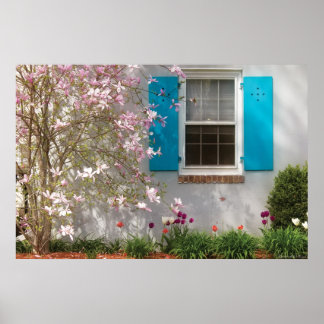 Poster Janela de Primavera