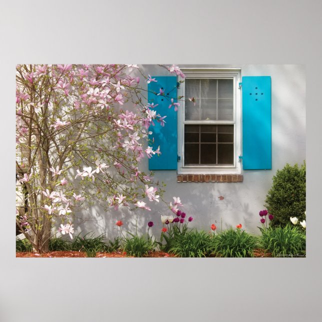 Poster Janela de Primavera (Frente)