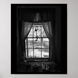 Poster Janela Homestead