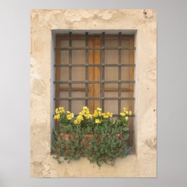 Pôster Janela italiana (Frente)