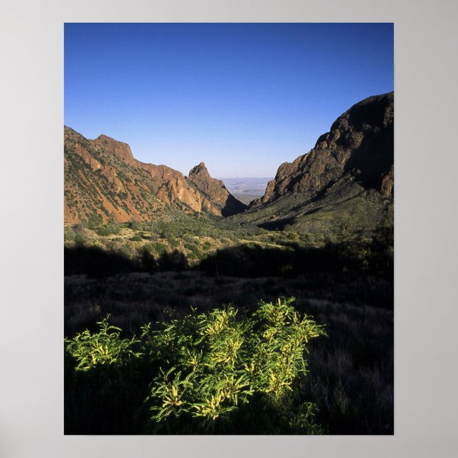 Poster Janela no Deserto (Frente)