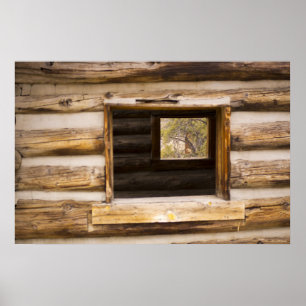 Poster Janela Por Cima e Através da Cabina