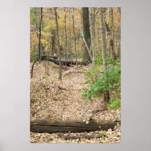 Pôster Janela Woodland