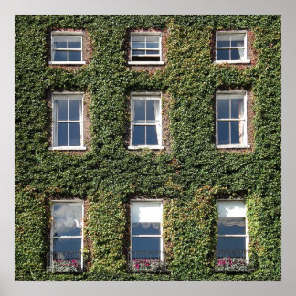 Poster Janelas Da Cidade De Dublin E A Viagem Subindo