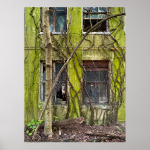 Poster Janelas e Vinhas