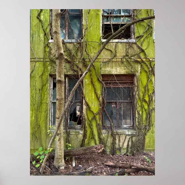Poster Janelas e Vinhas (Frente)