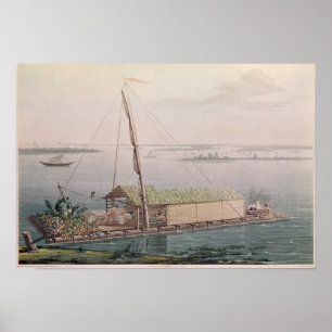 Pôster Jangada no rio de Guayaquil