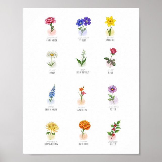 Poster January Carnation Birth Flower Watercolor Wall Art (Frente)