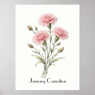 Poster January Carnation Flowers