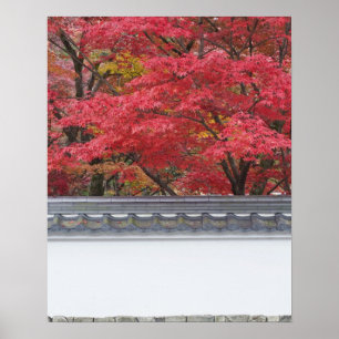 Pôster Japan, Kyoto, Autumn Color at Eikando Temple
