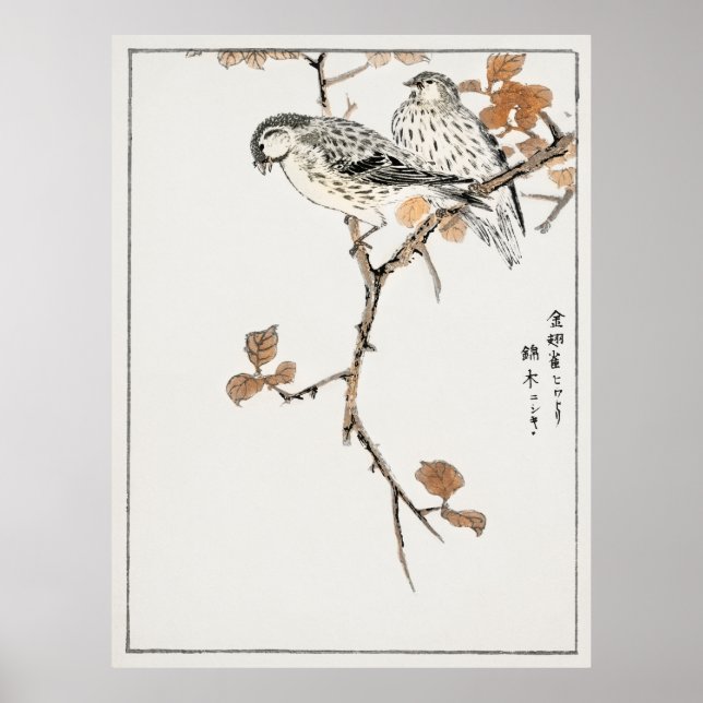 Poster Japanese Birds 4 (Frente)