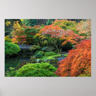 Pôster Japanese Gardens In Autumn In Portland, Oregon 3