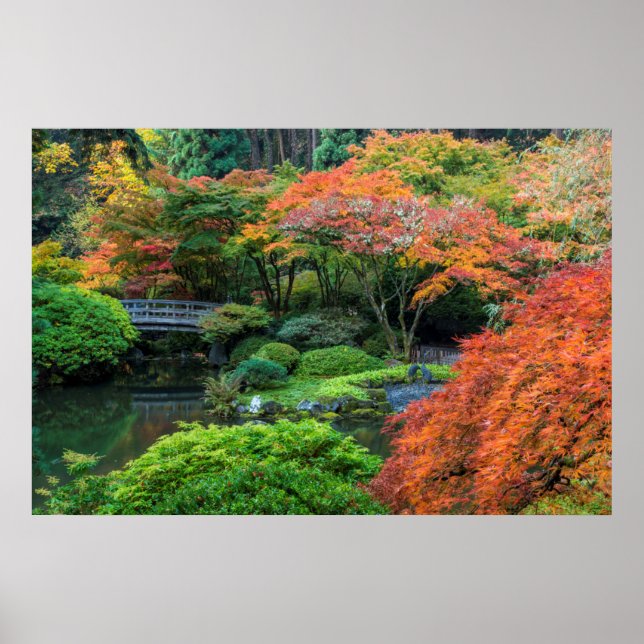 Pôster Japanese Gardens In Autumn In Portland, Oregon 3 (Frente)