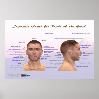 Pôster Japanese Names for Parts of the Head
