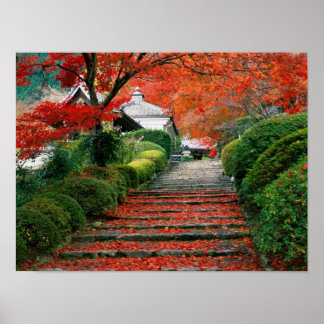 Pôster Japão