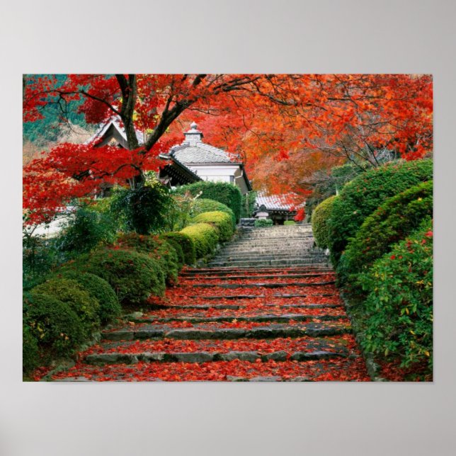 Pôster Japão (Frente)